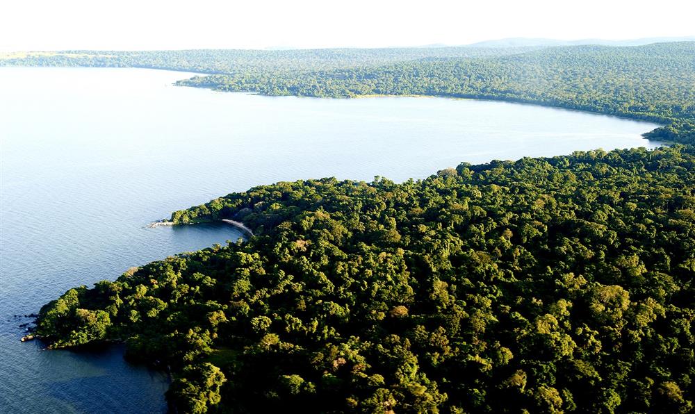 Rubondo Island Camp